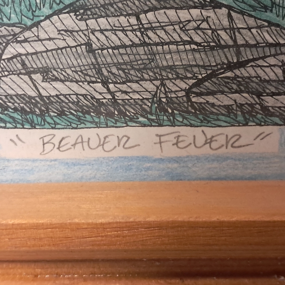 Signed And Framed 1987 "Beaver Feaver" Print - Picture 4 of 8